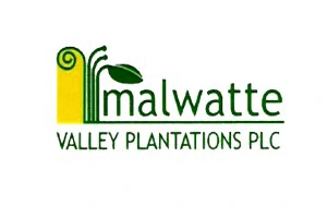iseeq client malwatte plantation logo